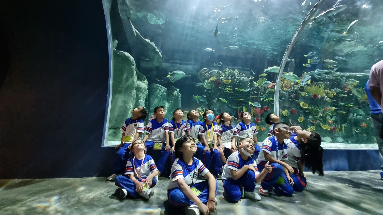 Alumnos observando peces en túnel de acuario