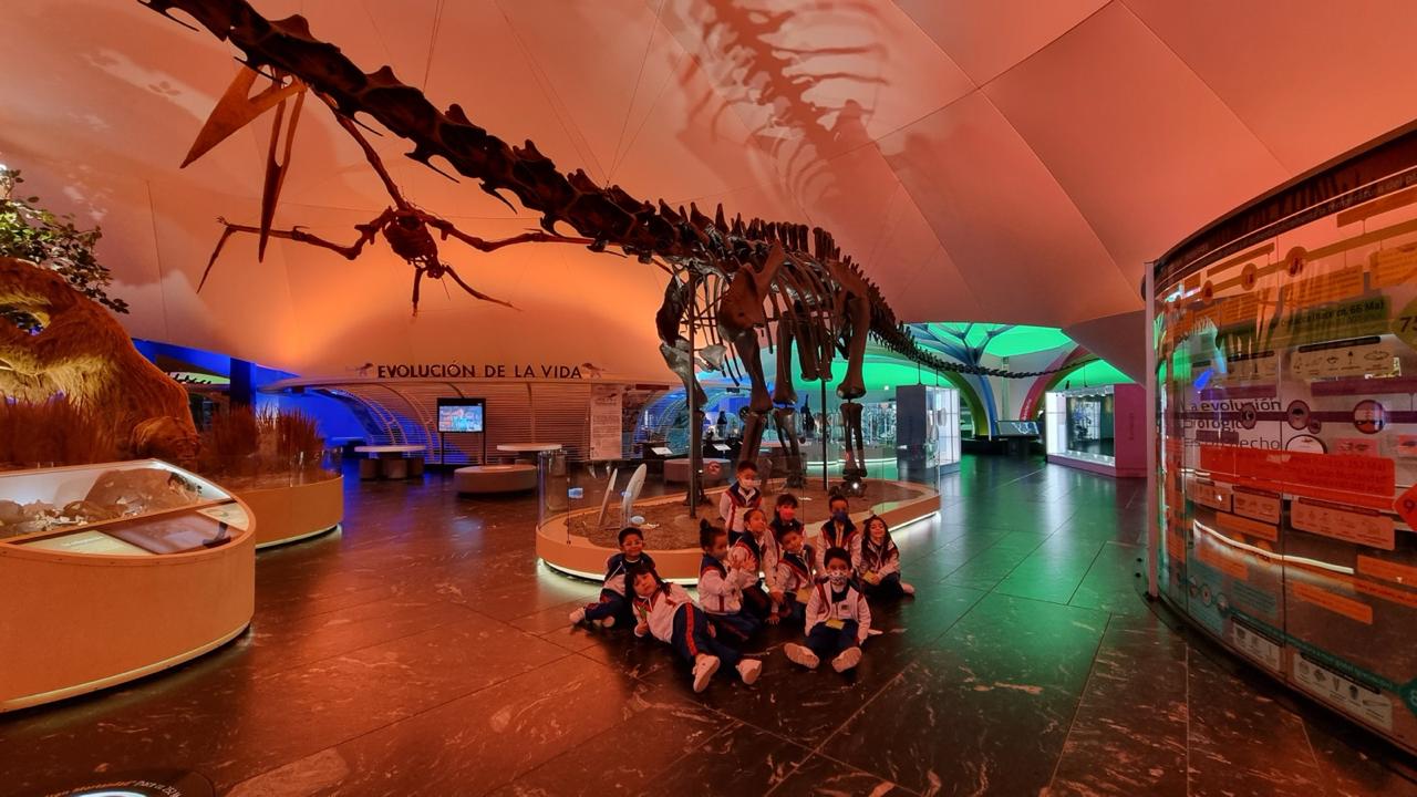 Alumnos junto a esqueleto de dinosaurio en museo de ciencias