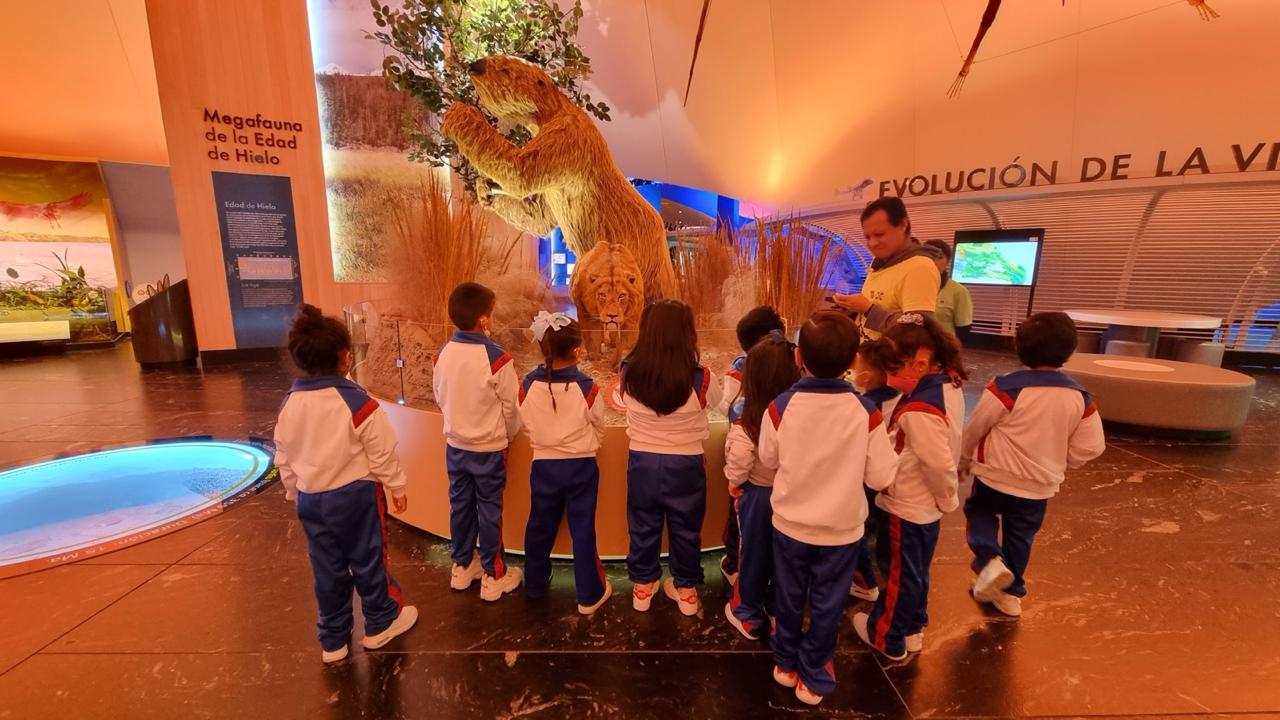 Alumnos observando exhibición de megafauna de la edad de hielo